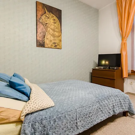 Apartment Krak - *